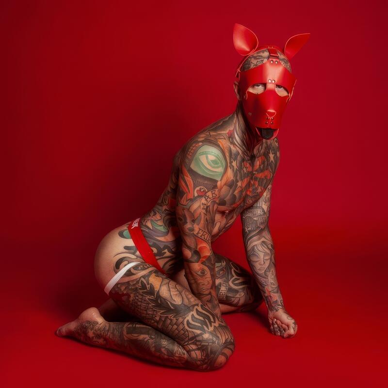 BDSM Dog Mask — product view 11