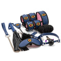Blue Aviator BDSM Kit — product image