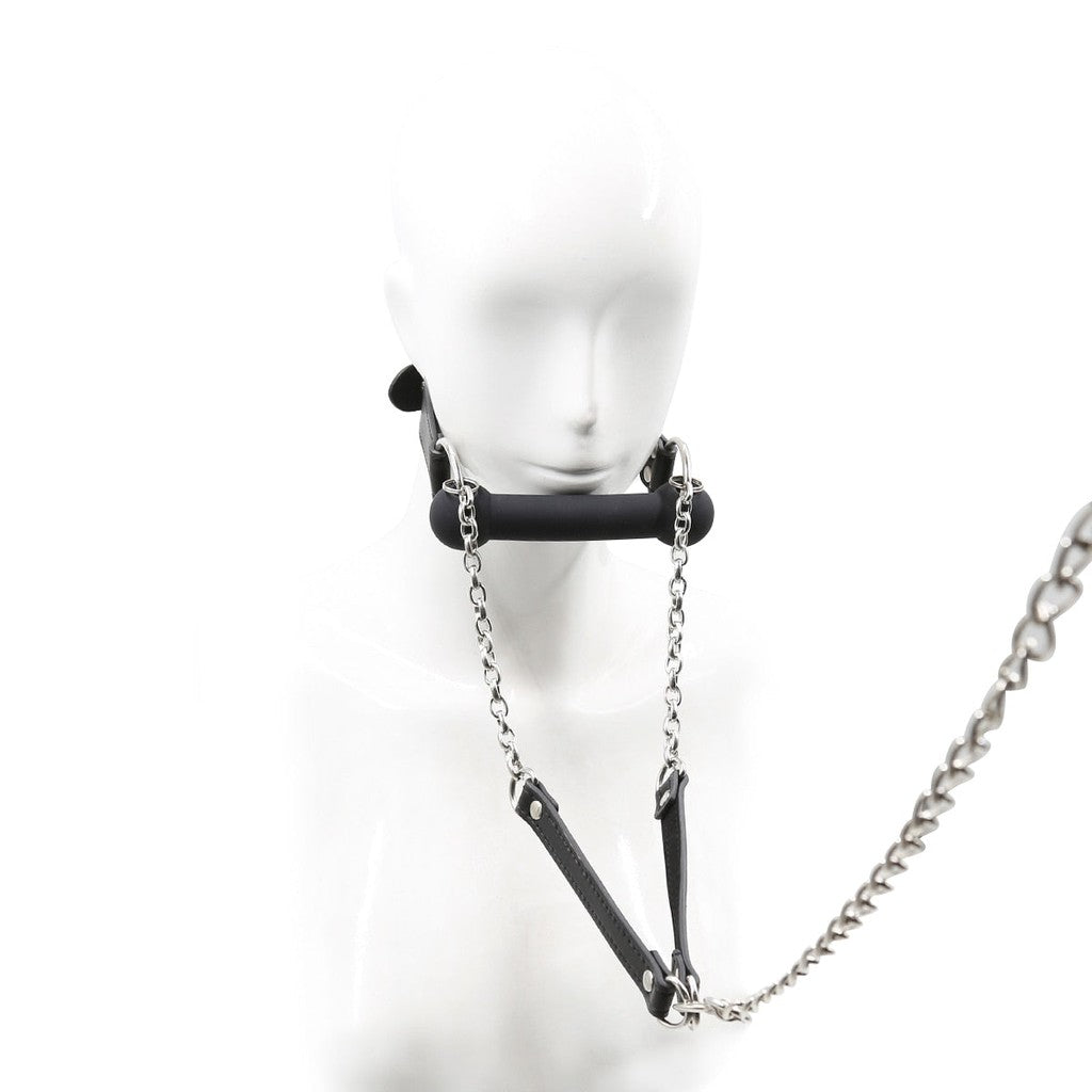 Gag with Leash — product image