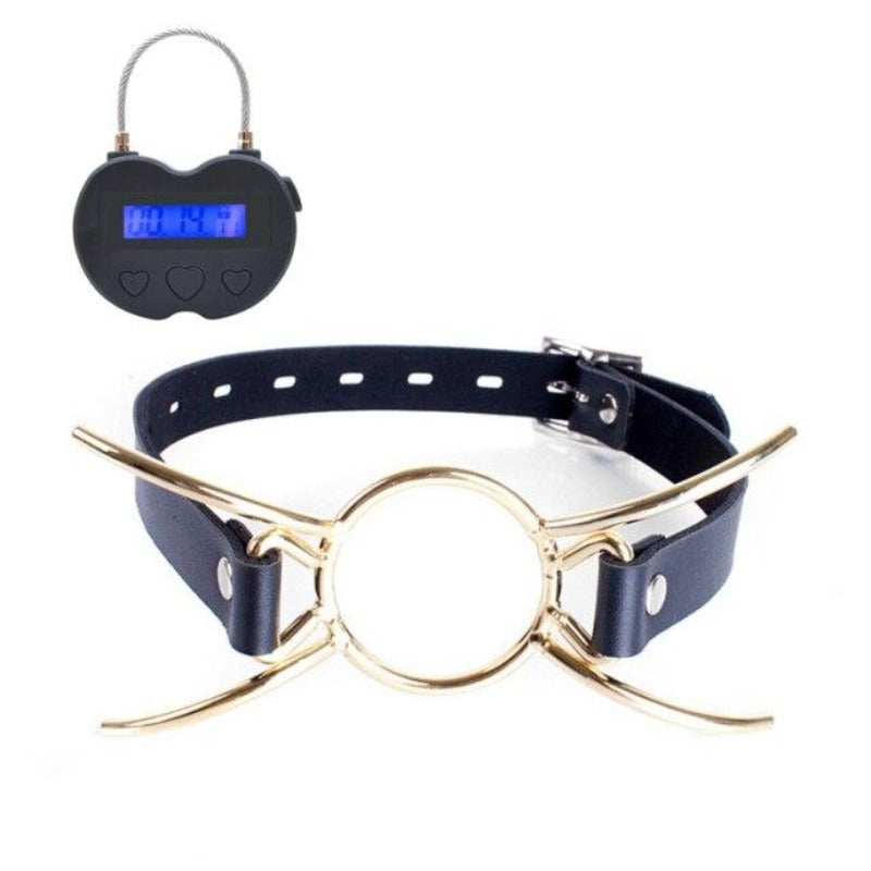 Padlock Electronic Ball Gag — product view 2