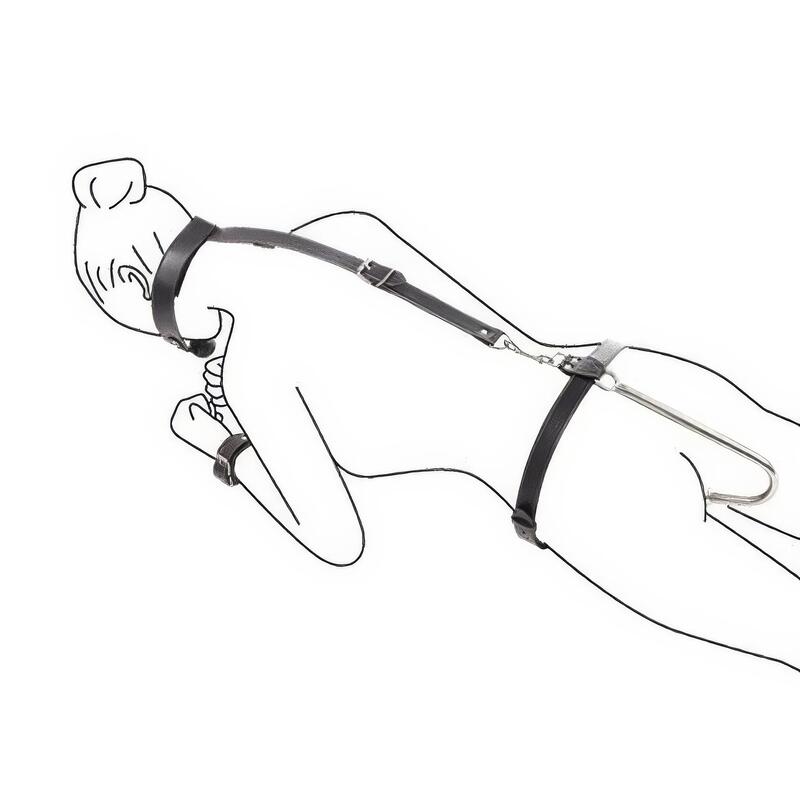 Analkrok med restrainingshalsband — produktvy 2