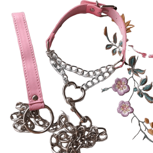 BDSM-halsband och koppel med hjärta — produktbild