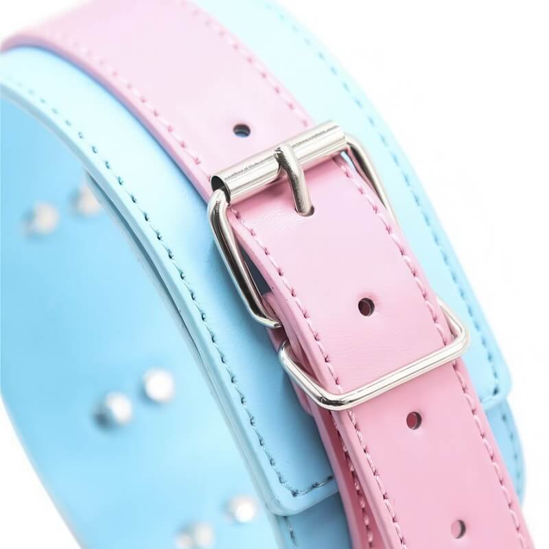 Pink & Blue BDSM Collar — product view 4
