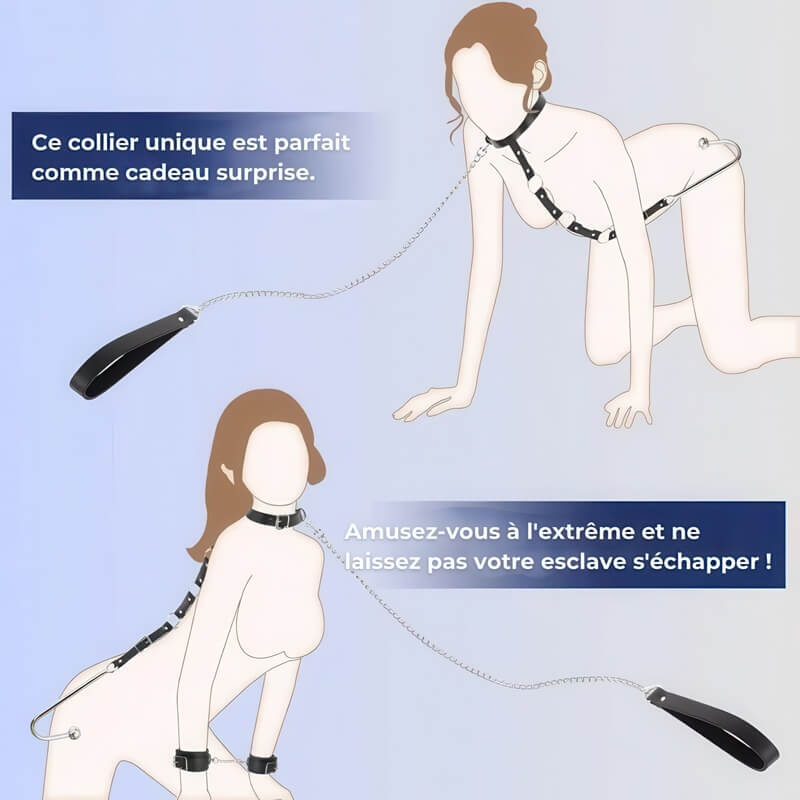 Anal Hook Kit — product view 5