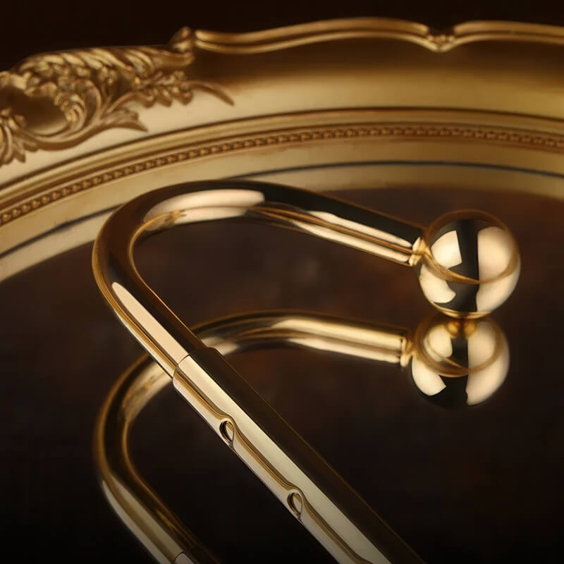 Luxury Anal Hook — product view 2