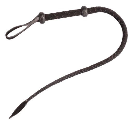 Dominatrix BDSM Whip — product view 2
