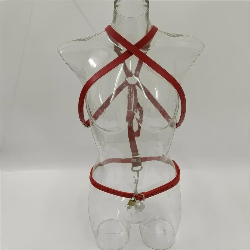 Gancio anale con harness — immagine prodotto
