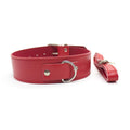 Red BDSM Collar & Leash — product image