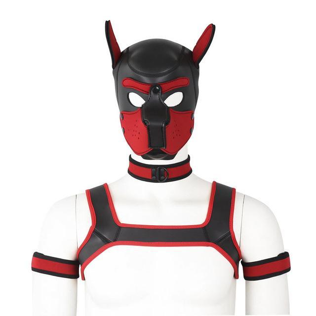 Fetish Harness Mask — product image