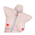 Blue leash collar