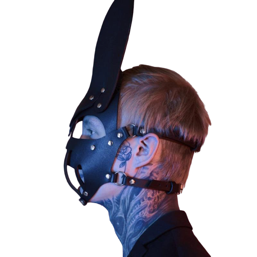 Sexy Men's Bondage Mask — product view 2