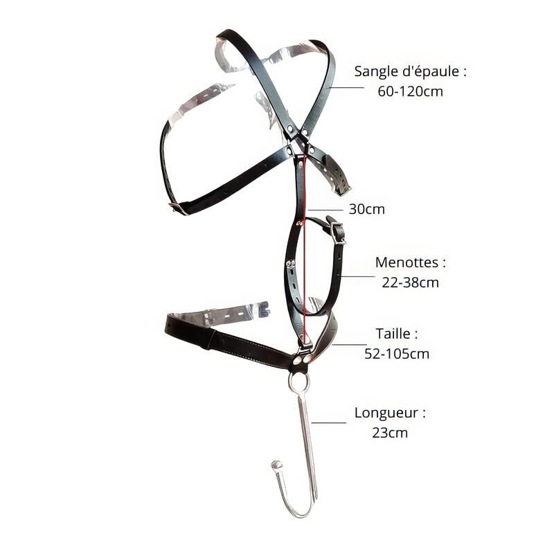 Gancio anale con harness — vista prodotto 4