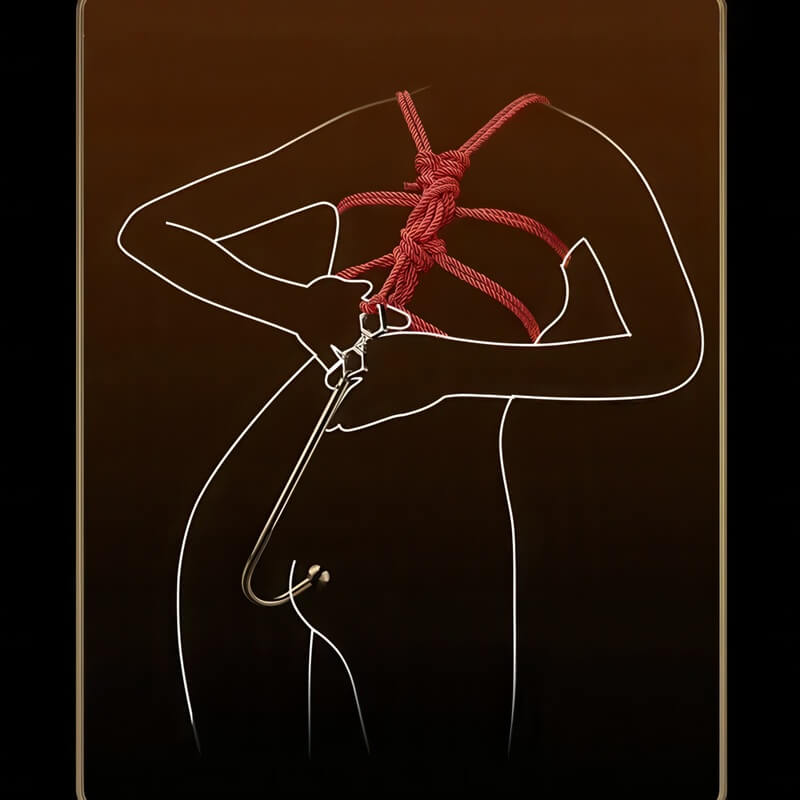 Luxury Anal Hook — product view 3