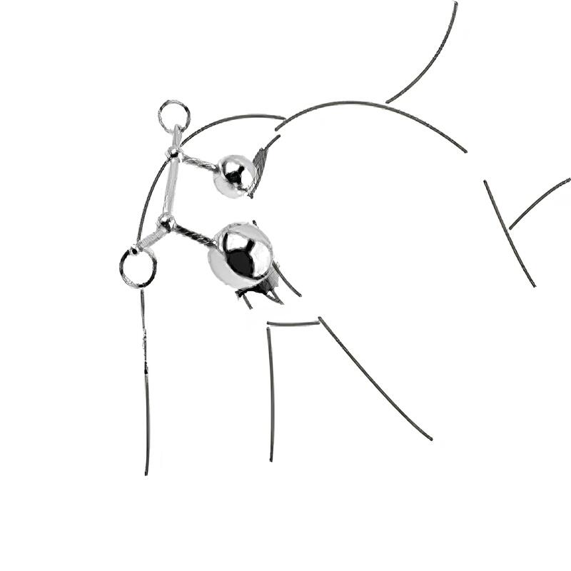 Anal and Vaginal Hook — product view 2